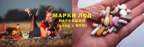 крисы Аркадак