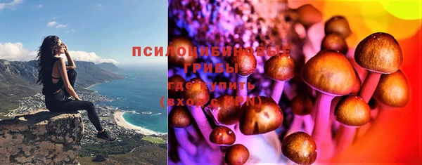 Альфа ПВП Армянск