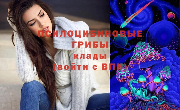 mdpv Арсеньев